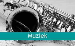 Muziek